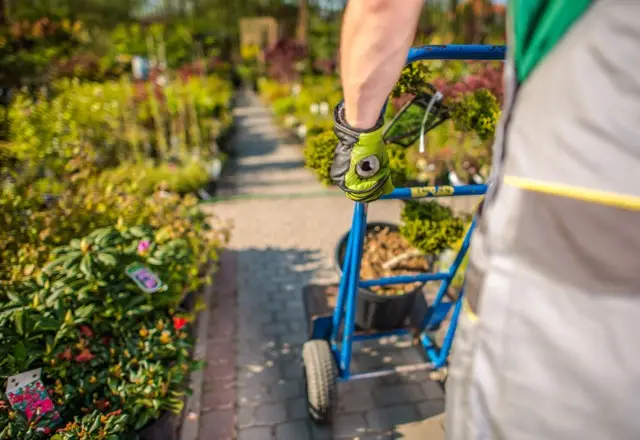 landscaping exterior